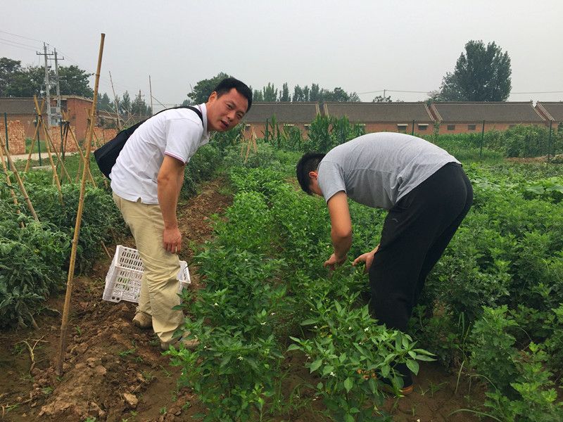 好利來郭總喊您來摘菜啦！綠色無公害，放心！
