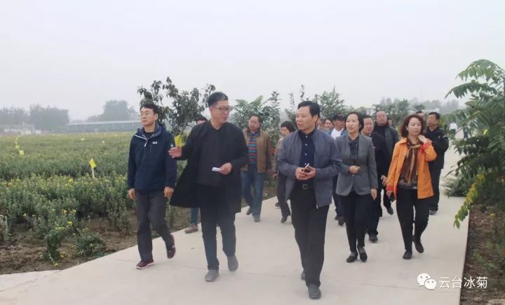 云臺冰菊基地發(fā)生了什么？一批批領(lǐng)導專家團隊前來！